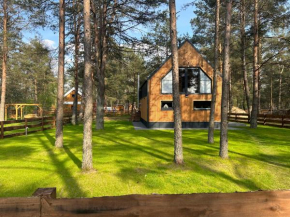 Dom Stodoła Borsk in Borsk